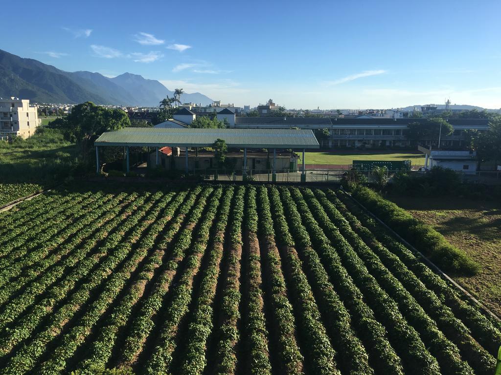 Bo Jue Farm Stay Джиан Екстериор снимка